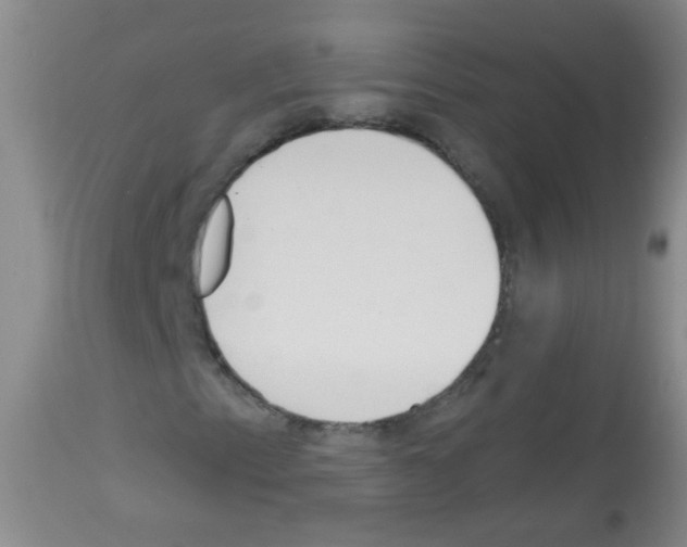 X0000113061153200910091136