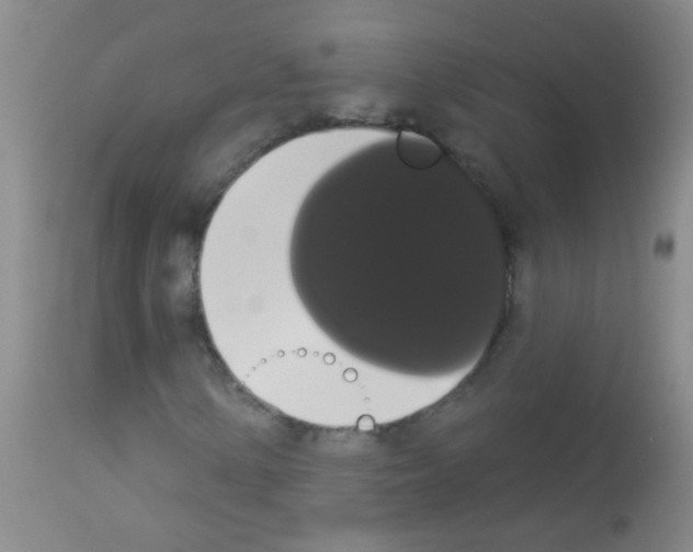 X0000113061154200910091136
