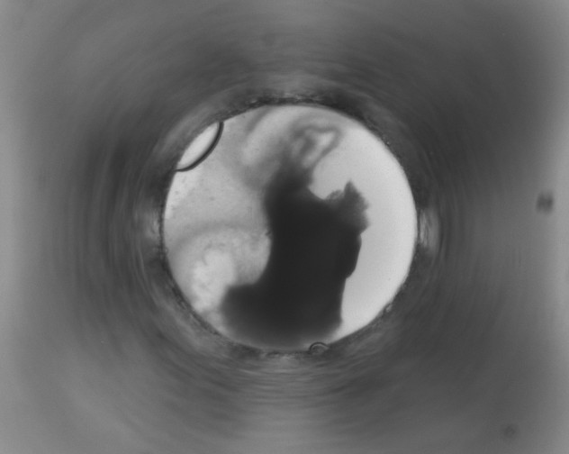 X0000113061155200910091136