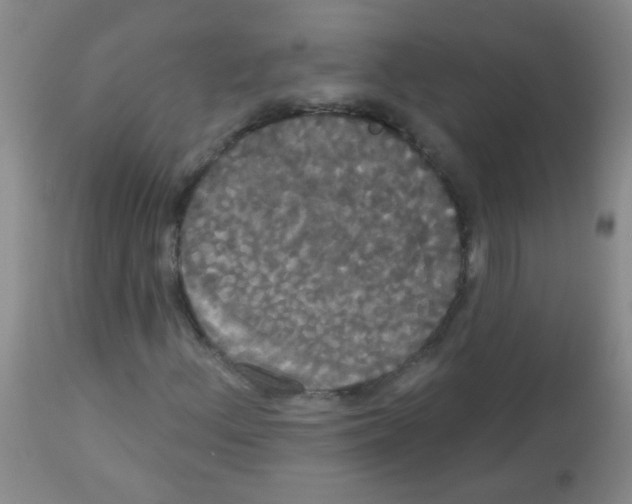 X0000113061156200910091136