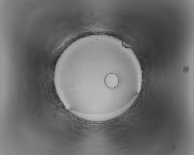 X0000113061157200910091136