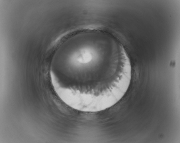 X0000113061158200910091136