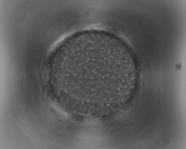 X0000113061159200910091136