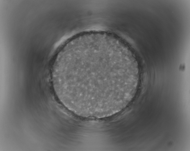 X0000113061160200910091136