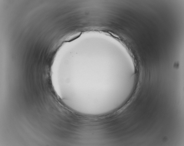 X0000113061161200910091136