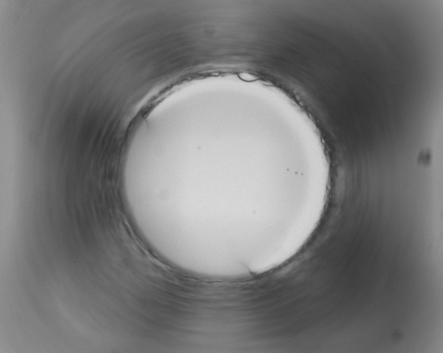 X0000113061162200910091136