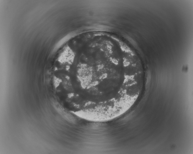 X0000113061163200910091136