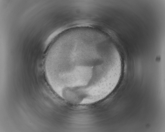 X0000113061164200910091136