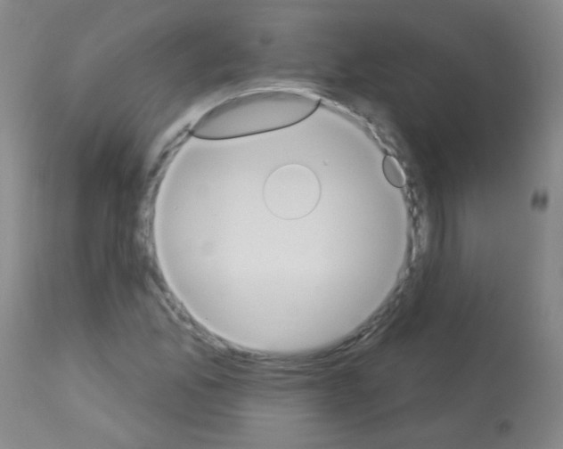 X0000113061165200910091136