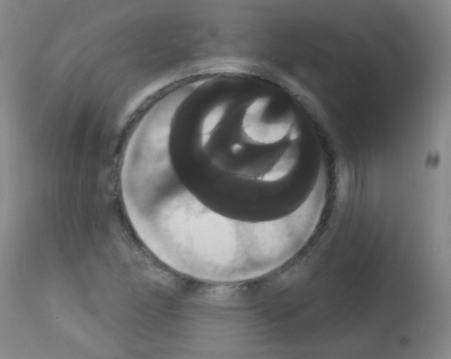 X0000113061166200910091136