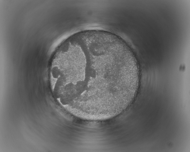 X0000113061167200910091136