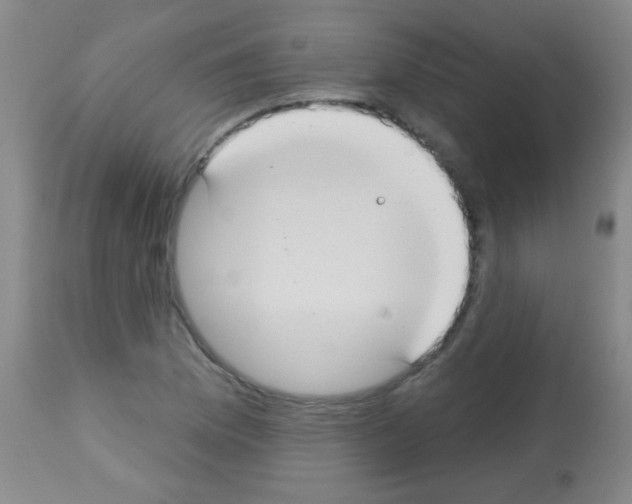 X0000113061169200910091136