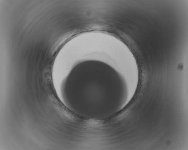 X0000113061170200910091136