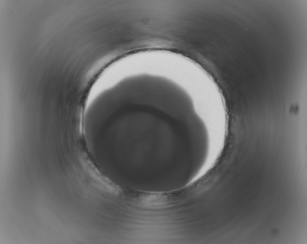 X0000113061171200910091136