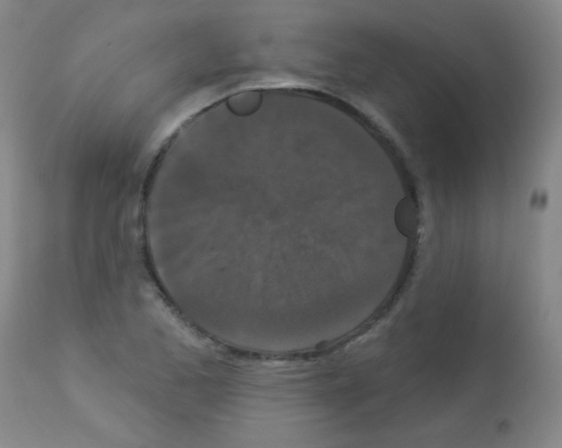 X0000113061173200910091136