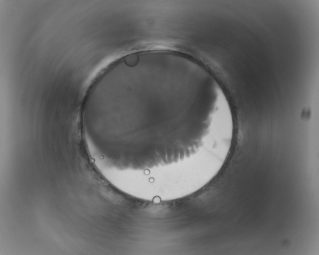 X0000113061174200910091136