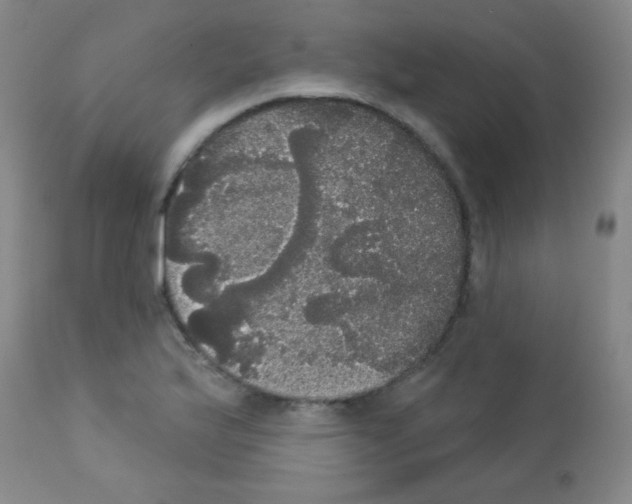 X0000113061175200910091136