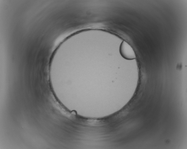 X0000113061176200910091136