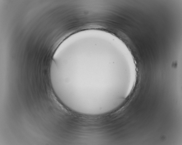 X0000113061177200910091136