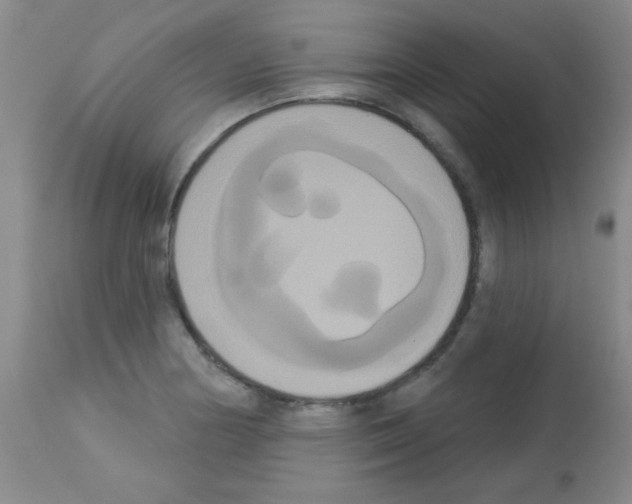 X0000113061178200910091136