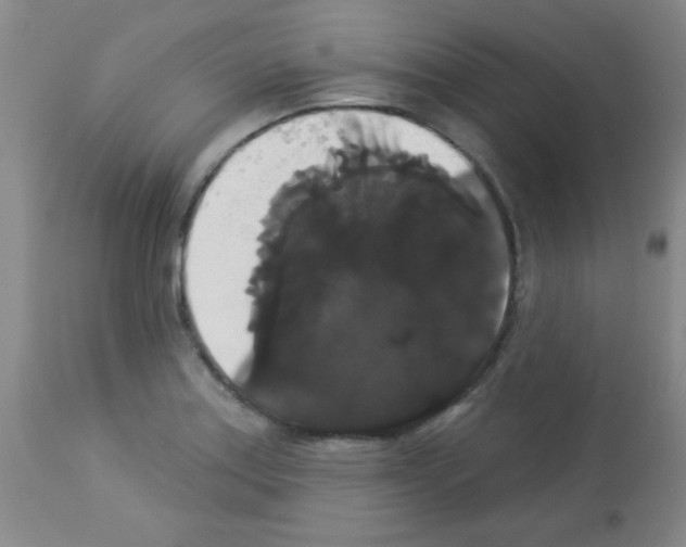 X0000113061179200910091136