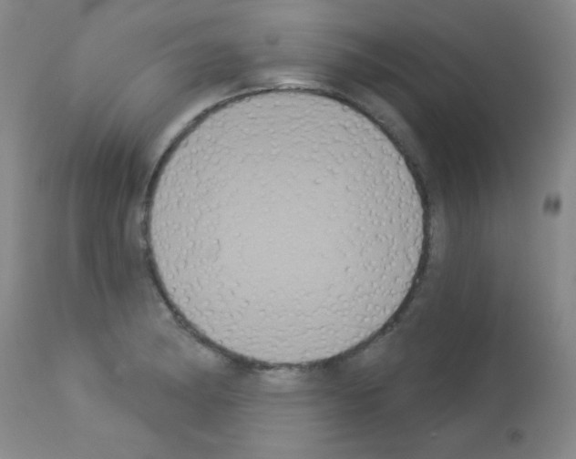 X0000113061182200910091136