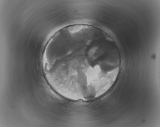 X0000113061184200910091136