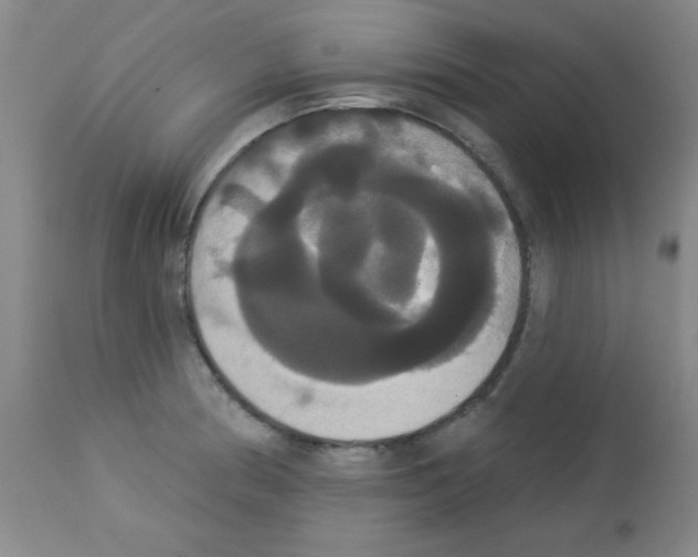 X0000113061186200910091135
