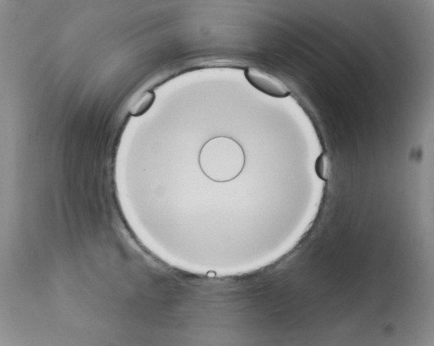 X0000113061189200910091135