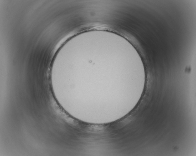 X0000113061190200910091135