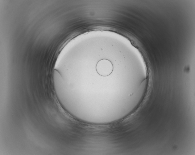 X0000113061193200910091135