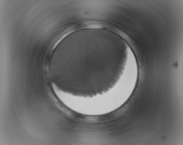 X0000113061194200910091135