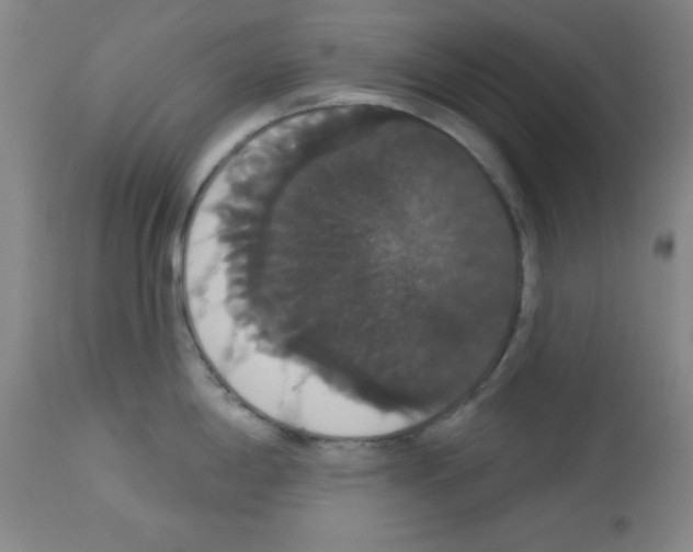 X0000113061198200910091135