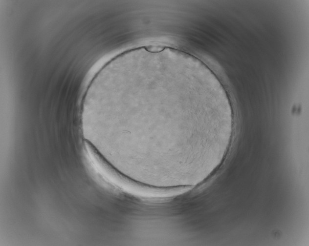 X0000113061200200910091135