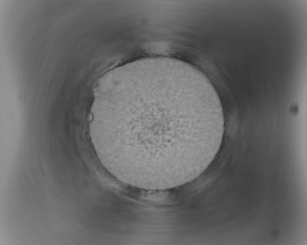 X0000113061201200910091134