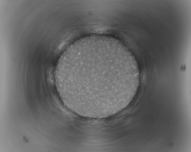 X0000113061202200910091135