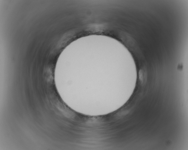 X0000113061203200910091135