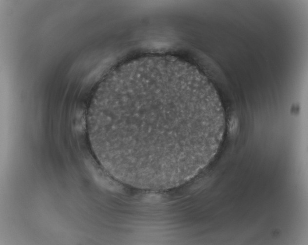 X0000113061204200910091135