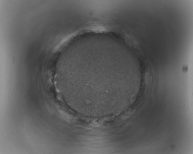 X0000113061205200910091135