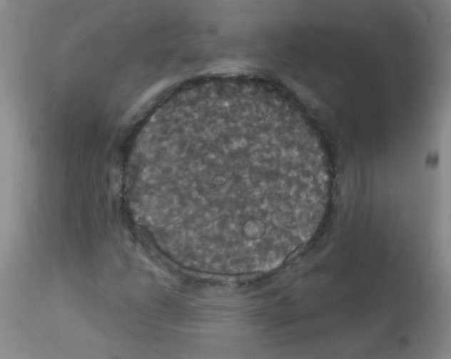 X0000113061206200910091135