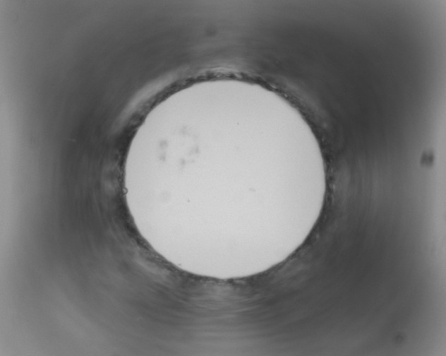 X0000113061207200910091135