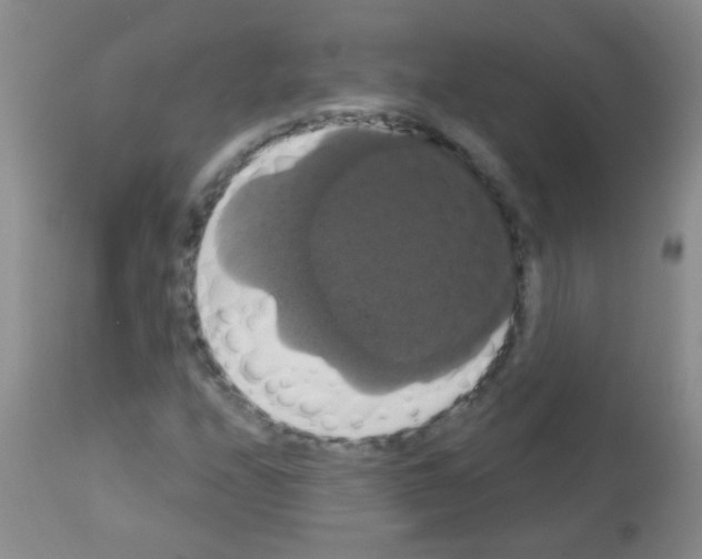 X0000113061208200910091135