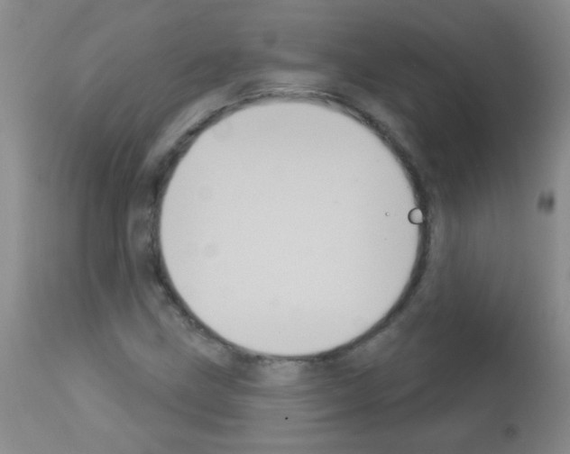 X0000113061211200910091135