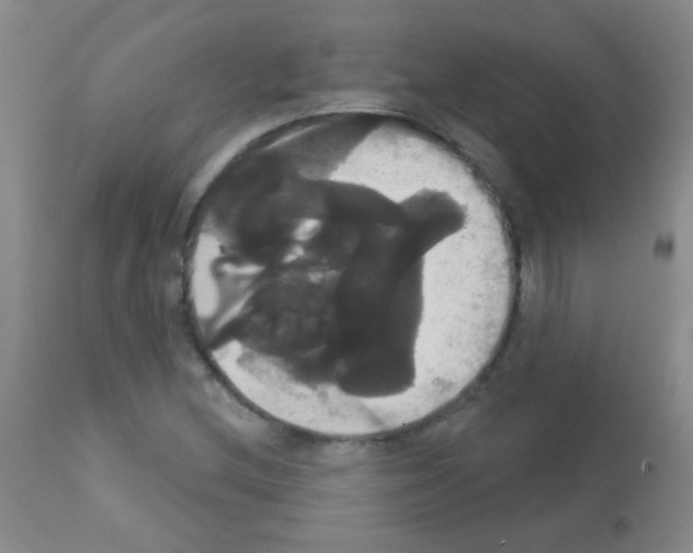 X0000113061212200910091135