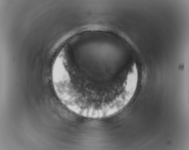 X0000113061213200910091135