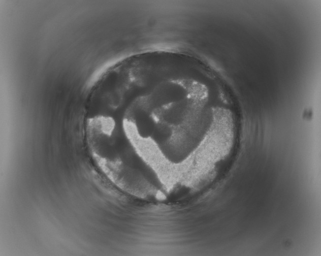 X0000113061214200910091135