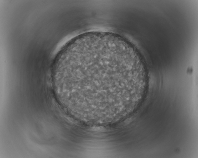 X0000113061215200910091135