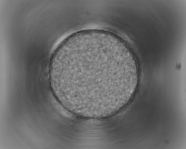 X0000113061216200910091135