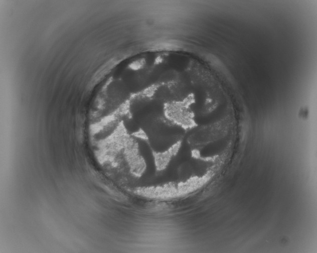 X0000113061217200910091135
