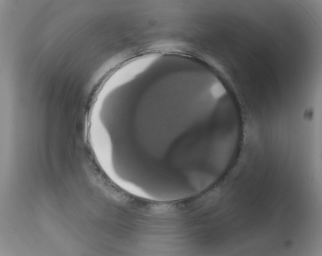 X0000113061219200910091135
